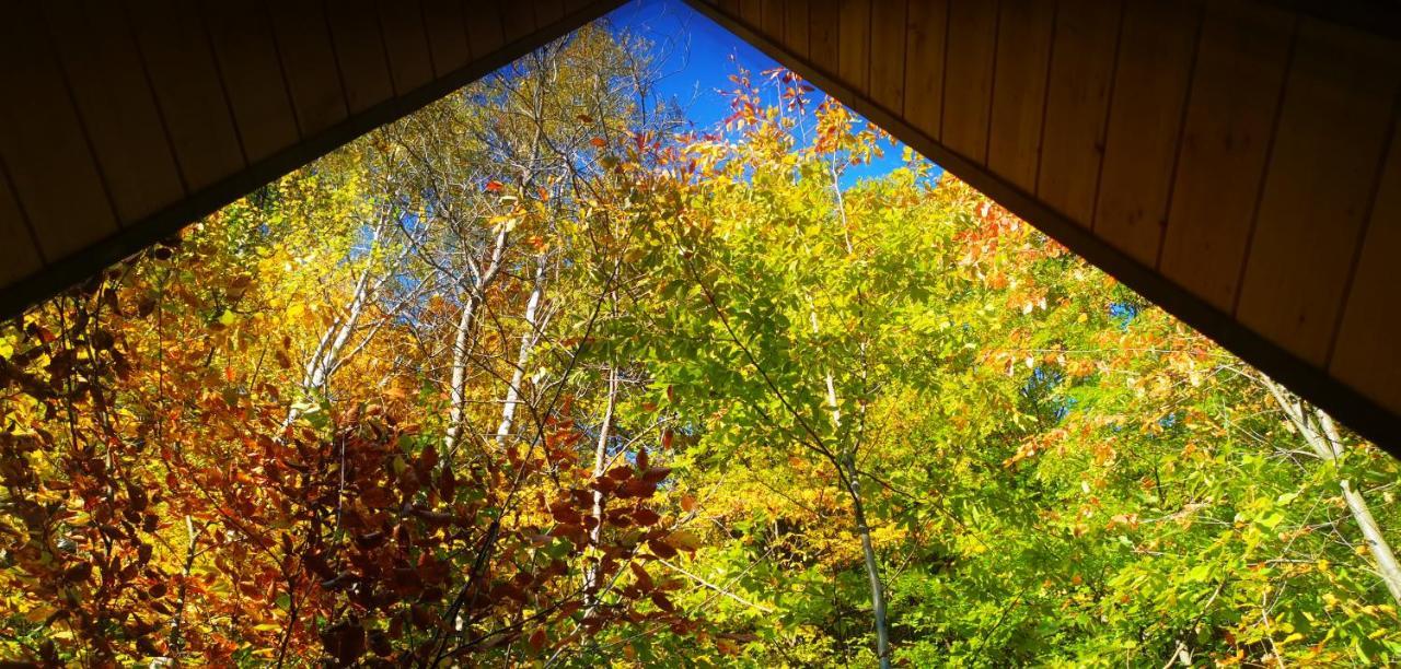 Casa - Cabana Tip A Frame, Cerna, Vaideeni, Valcea Cerna  Dış mekan fotoğraf
