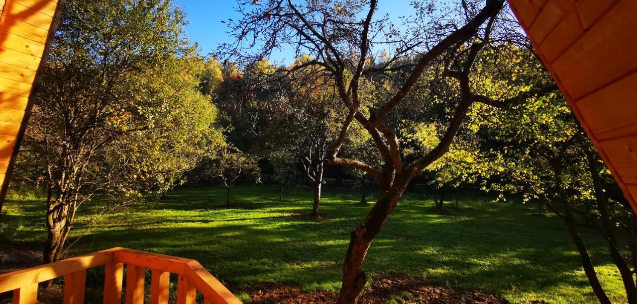 Casa - Cabana Tip A Frame, Cerna, Vaideeni, Valcea Cerna  Dış mekan fotoğraf