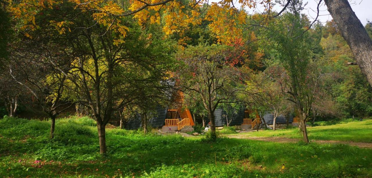 Casa - Cabana Tip A Frame, Cerna, Vaideeni, Valcea Cerna  Dış mekan fotoğraf